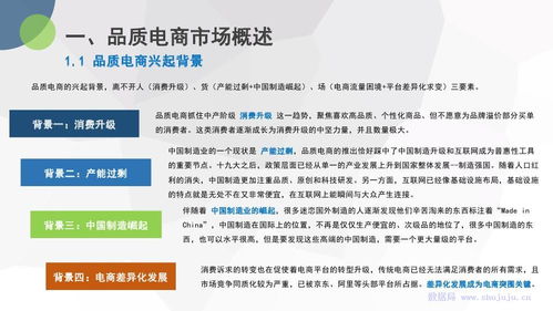 国考电子商务专业知识